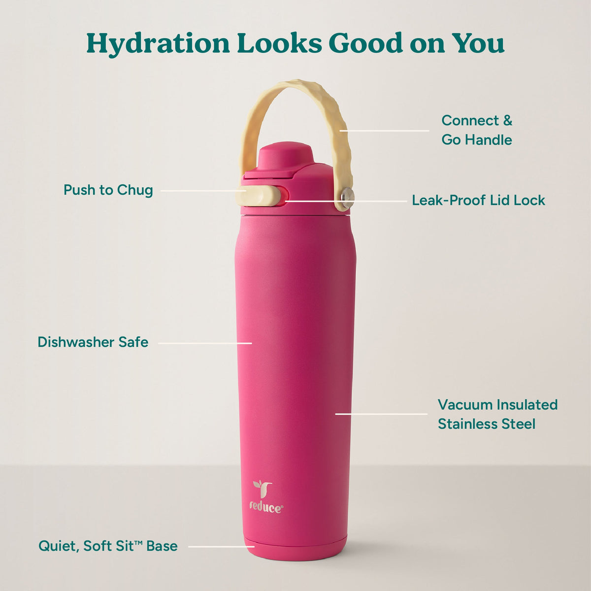 aura-26-oz-u1 Aura_26oz_DragonFruit_PDP_Infographic_2-03.jpg