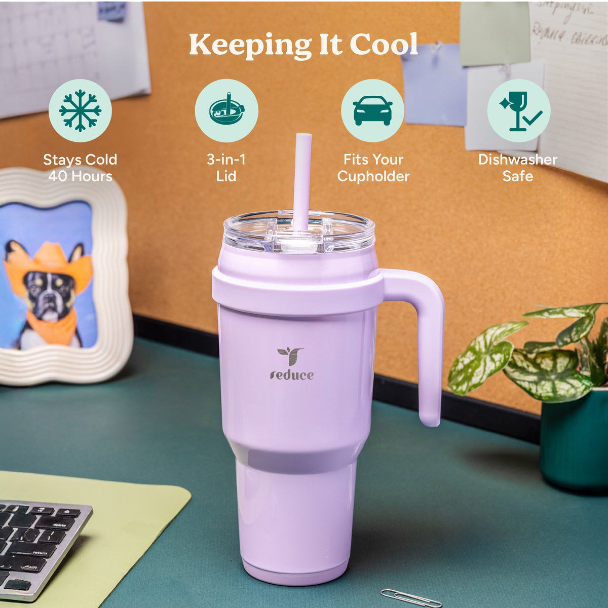 cold1-40-oz-l5 Cold1_40oz_PalmLeaf_Infographic_1.jpg