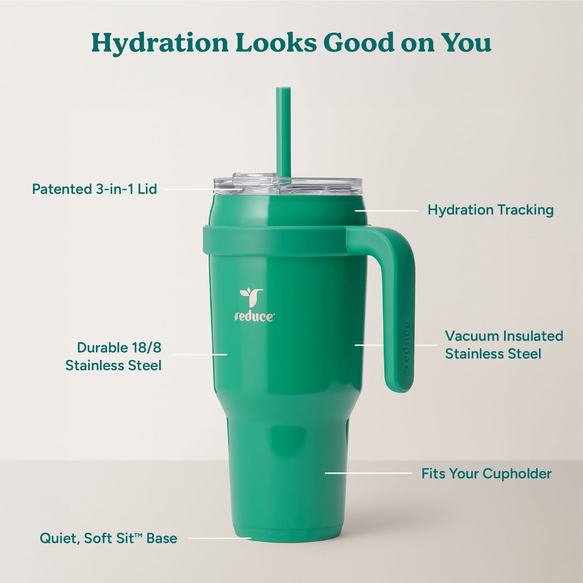 cold1-40-oz-l5 Cold1_40oz_PalmLeaf_Infographic_2.jpg