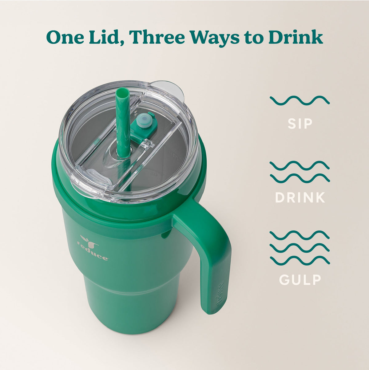 cold1-40-oz-l5 Cold1_40oz_PalmLeaf_Infographic_3.jpg