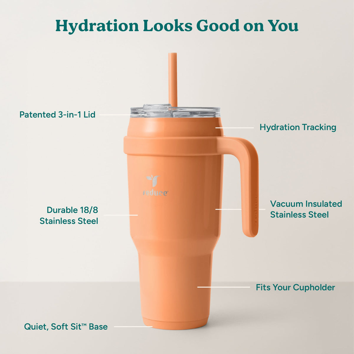 cold1-40-oz-l5 Cold1_40oz_Papaya_Infographic_2.jpg