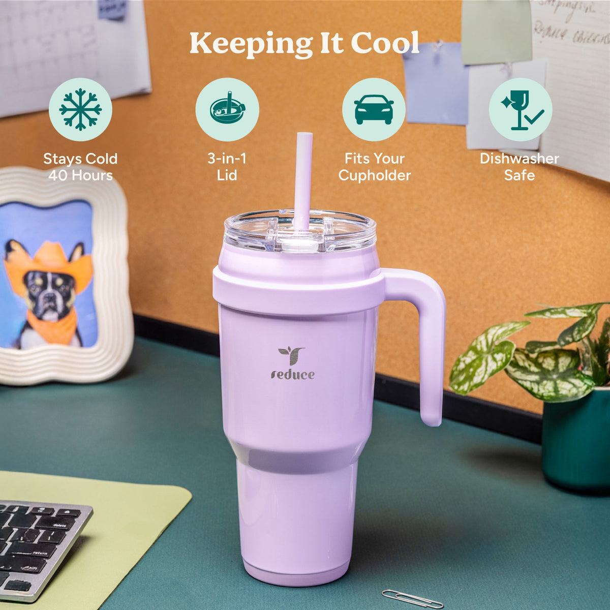 cold1-40-oz-l5 Cold1_40oz_Sangria_Infographic_1.jpg